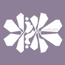 no6z8