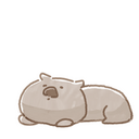 Wombat Guma shop