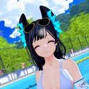 クリス・キツネ