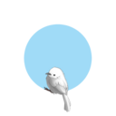 白羽